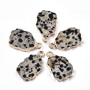 Natural Dalmatian Jasper Pendants, with Light Gold Plated Edge and Iron Loop, Nuggets, 19~21x12x3mm, Hole: 1.6mm(G-N326-41H)