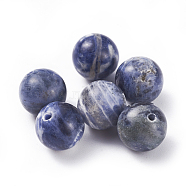 Natural Sodalite Beads, Round, 10mm, Hole: 1mm(G-G782-08)