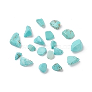 Synthetic Turquoise Beads, No Hole/Undrilled, Dyed, Chip, 5~13.5x4~6x3.5~4.5mm(G-F722-03)