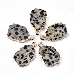 Natural Dalmatian Jasper Pendants, with Light Gold Plated Edge and Iron Loop, Nuggets, 19~21x12x3mm, Hole: 1.6mm(G-N326-41H)