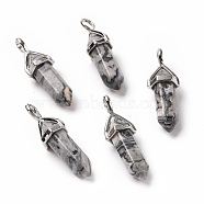Natural Map Stone Pendants, Faceted, with Platinum Tone Brass Findings, Lead free & Cadmium Free, Bullet, 27~30x9~10x7~8mm, Hole: 4x3mm(G-K329-64P)