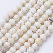 Natural Magnesite Bead Strands, Dyed, Round, Old Lace, 3mm, Hole: 0.6mm, about 118pcs/strand, 15.7 inch(X-G-P286-10-3mm)