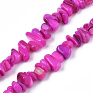 Natural Trochid Shell/Trochus Shell Beads Strands, Dyed, Chips, Magenta, 7~22x5~8x1~6.5mm, Hole: 1mm, about 96~111pcs/strand, 14.37 inch~15.75 inch(36.5cm~40cm)(SHEL-S258-080-B04)