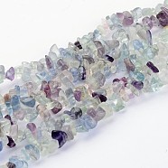 Gemstone Beads Strands, Natural Fluorite, Chips, Mixed Color, about 5~8mm long, hole: about 0.3mm, 32 inch(F006)