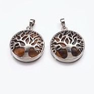 Natural Tiger Eye Pendants, with Brass Finding, Flat Round with Tree of Life, Platinum, 31x27x6mm, Hole: 5x8mm(G-E449-C05)