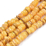 Natural Trochid Shell/Trochus Shell Beads Strands, Dyed, Flat Round, Wheat, 5~10x1~7mm, Hole: 1mm, about 94pcs/strand, 14.96''(38cm)(SHEL-S258-081-B11)