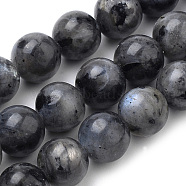 Natural Larvikite/Black Labradorite Beads Strands, Round, 6mm, Hole: 1mm, about 61pcs/strand, 15 inch(X-G-S259-06-6mm)