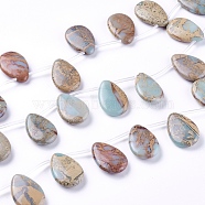 Natural Aqua Terra Jasper Beads Strands, Top Drilled Beads, Teardrop, 30x20x7mm, Hole: 1.4mm, about 14pcs/strand, 15.9 inch(40.5cm)(G-F612-06)