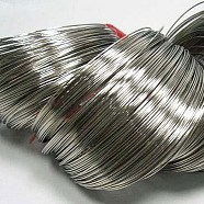 Steel Memory Wire, for Wrap Bracelets Making, Nickel Free, Platinum, 22 Gauge, 0.6mm, 2500 circles/1000g(MW5.0CM-NF)