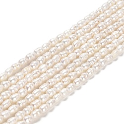 Natural Cultured Freshwater Pearl Beads Strands, Rice, Grade A+, Old Rose, 4.5~5.5x3~3.5mm, Hole: 0.5mm, about 70~71pcs/strand, 13.78''(35cm)(PEAR-E016-146)