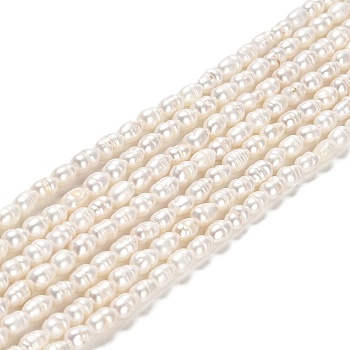Natural Cultured Freshwater Pearl Beads Strands, Rice, Grade A+, Old Rose, 4.5~5.5x3~3.5mm, Hole: 0.5mm, about 70~71pcs/strand, 13.78''(35cm)