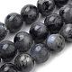 Natural Larvikite Beads Strands(X-G-S259-06-6mm)-1