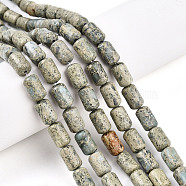 Natural Variscite Beads Strands, Barrel, 9.5~10.5x6~7mm, Hole: 0.7mm, about 38pcs/strand, 15.16~15.35 inch(38.5~39cm)(G-N346-01B-14)