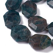 Faceted Natural Apatite Beads Strands, Oval, 23~24x18~19x7mm, Hole: 0.8mm, about 16pcs/strand, 15.16 inch(38.5cm)(G-H242-01B)