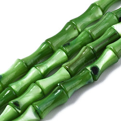 Natural Freshwater Shell Beads Strands, Dyed, Bamboo Stick, Olive Drab, 8x4.5x4.5mm, Hole: 0.7mm, about 45~48pcs/strand, 14.61~15.51 inch(37.1~39.4cm)(SHEL-Q025-003C)