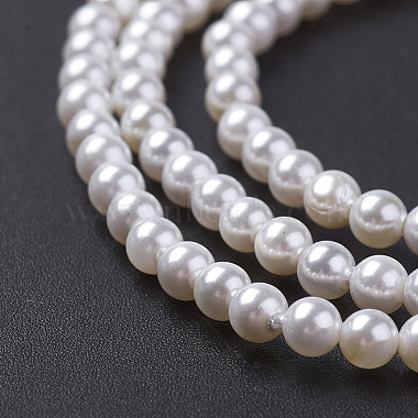 shell brins perle de perles(X-BSHE-P023-5mm)-3