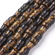Natural Tiger Eye Beads Strands, Vase, 26~27x10mm, Hole: 1mm, about 15pcs/strand, 15.5 inch(39.5cm)(G-G731-02)