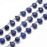 Natural Lapis Lazuli Beads Strands, Faceted Teardrop, 13~14x10~11mm, Hole: 1mm, about 28pcs/strand, 15.7 inch(G-R435-15D)