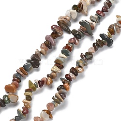 Natural Alashan Agate Beads Strands, Chip, 5~15x5.5~6x2.5~4mm, Hole: 0.7mm, 30.31''~30.71''(77~78cm)(G-P497-03A-05)