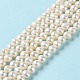 perles de nacre naturelle brins(PEAR-E018-74)-2