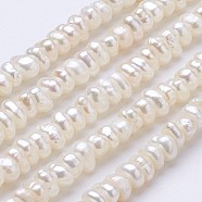 Natural Cultured Freshwater Pearl Beads Strands, Flat Round, Beige, 3~3.2x4.5~5x5~5.5mm, Hole: 0.5mm, about 116pcs/strand, 13.6 inch(PEAR-F004-64-01)