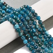 Natural Apatite Beads Strands, Faceted, Round, 5.5mm, Hole: 1mm, about 75pcs/strand, 15.16 inch(38.5cm)(G-C127-A01-03)