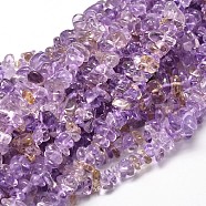 Natural Ametrine Chip Beads Strands, 5~14x4~10mm, Hole: 1mm, about 15.5 inch~16.1 inch(X-G-E271-134)