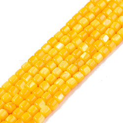 Natural Freshwater Shell Beads Strands, Dyed, Column, Gold, 3.5x3.5mm, Hole: 0.8mm, about 110~113pcs/strand, 14.69 inch~15.08 inch(37.3~38.3cm)(SHEL-N003-33-A08)