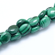 Natural Malachite Beads Strands, Oval, 8x6x3mm, Hole: 0.8mm, about 52pcs/strand, 15.75 inch(40cm)(G-D0011-11B)