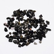Natural Black Stone Chip Beads, No Hole/Undrilled, 2~8x3~5mm(G-M229-05)