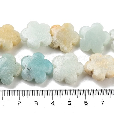 brins de perles d'amazonite de fleurs naturelles(G-F769-F01-02)-5