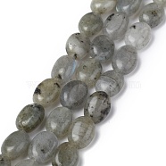 Natural Gray Labradorite Beads Strands, Oval, 8x6x3.5~4mm, Hole: 1mm, about 45~52pcs/strand, 15.16~15.74 inch(38.5~40cm)(G-Z006-A12)