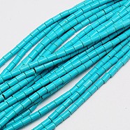 Synthetic Turquoise Beads Strands, Dyed, Column, Dark Turquoise, 8~9x5mm, Hole: 1mm, about 46pcs/strand, 15.2 inch(TURQ-G120-5x9mm-10)