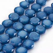 Pearl Luster Plated Glass Bead Strands, Faceted Flat Round, Dodger Blue, 13.5~14x7~8.5mm, Hole: 1~1.4mm, about 24~25pcs/strand, 13.7 inch(EGLA-E036-PL04)