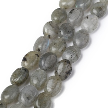 Natural Gray Labradorite Beads Strands, Oval, 8x6x3.5~4mm, Hole: 1mm, about 45~52pcs/strand, 15.16~15.74 inch(38.5~40cm)