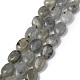 Natural Gray Labradorite Beads Strands(G-Z006-A12)-1