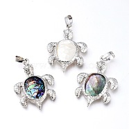Natural Shell Pendants, with Platinum Plated Brass Findings, Tortoise, 38x27x4mm, Hole: 5x8mm(SSHEL-P018-A01-P)