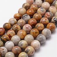 Natural Crazy Lace Agate Beads Strands, Round, 6mm, Hole: 1mm, about 62pcs/strand, 15 inch(G-D840-70-6mm)