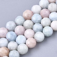 Natural Morganite Beads Strands, Faceted, Round, 7.5~8x8mm, Hole: 1mm, about 23~25pcs/strand, 7.48 inch(G-S345-8mm-012)
