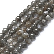 Natural Grey Moonstone Beads Strands, Round, 6~7mm, Hole: 0.6mm, about 62~64pcs/strand, 14.96''~15.35''(38~39cm)(G-K245-A05-02)