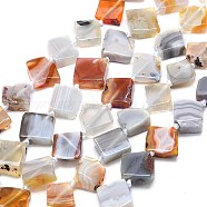 Natural Botswana Agate Beads Strands, Rhombus, 13~13.5x13.5x4mm, Hole: 1mm, about 27pcs/strand, 15.75~15.94 inch(40~40.5cm)(G-G106-H03-02)