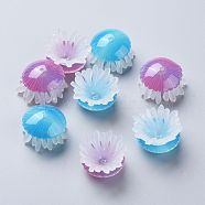 Transparent Acrylic Beads, Jellyfish, Mixed Color, 20~25x13mm, Hole: 1.2mm(KY-I007-01)