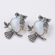 Opalite Pendants, with Alloy Finding, Owl, Antique Silver, 46.5x35.5x11.5mm, Hole: 6x8.5mm(X-G-E442-01X)