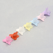 Transparent Acrylic Beads, Frosted, Flower, Mixed Color, 22.5x22x22mm, Hole: 2mm(X-FACR-Q009-15)