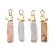 Natural Crazy Lace Agate/Map Stone/Flower Amazonite/Wood Lace Stone Rectangle Pendants, Brass Star Charms, Real 14K Gold Plated, 24.5x5.5x4mm, Hole: 2.4mm(PALLOY-JF02971)