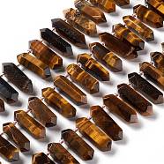 Natural Tiger Eye Beads Strands, Faceted, Double Terminated Pointed/Bullet, 24~38x11.5~12.5x10.5~11mm, Hole: 1.6mm, about 27pcs/strand, 15.75~16.14 inch(40~41cm)(G-F719-21)