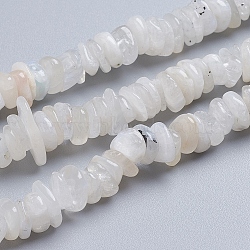 Natural Rainbow Moonstone Strands, Chip, 11~17x9~11x2~4mm, Hole: 0.9mm, about 124pcs/strand, 15.75 inch(40cm)(G-G841-B07)