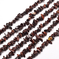 Natural Tiger Eye Chip Bead Strands, Dyed & Heated, 5~8x5~8mm, Hole: 1mm, about 31.5 inch(G-M205-36)