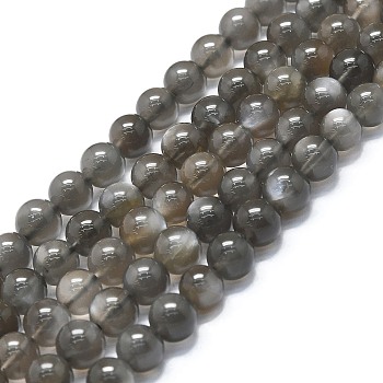 Natural Grey Moonstone Beads Strands, Round, 6~7mm, Hole: 0.6mm, about 62~64pcs/strand, 14.96''~15.35''(38~39cm)