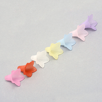 Transparent Acrylic Beads, Frosted, Flower, Mixed Color, 22.5x22x22mm, Hole: 2mm